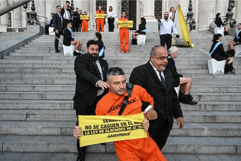 Detuvieron a 12 activistas de Greenpeace en el Congreso y la policía reprimió a la prensa