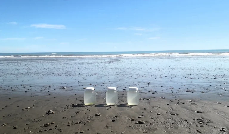 Más del 70% de los residuos hallados en las costas, superficie oceánica y fondo marino de Chubut son plásticos