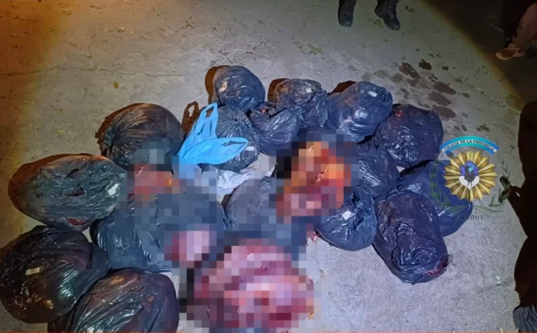 Cazador fue interceptado con 20 animales faenados en Gaiman