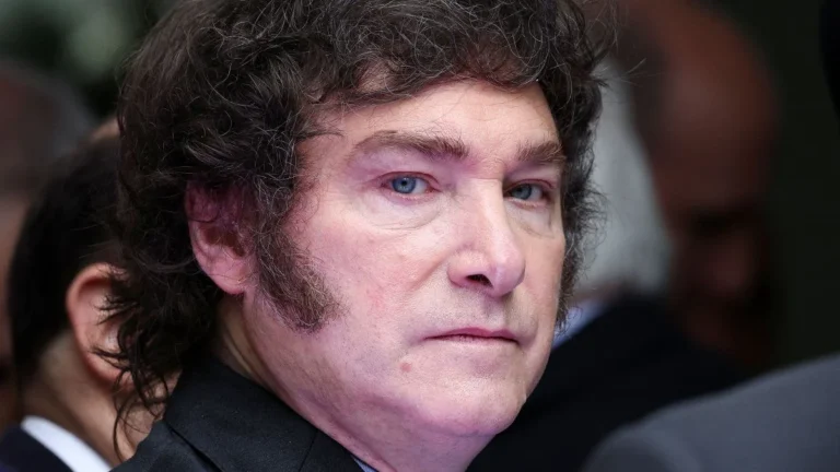 Polémica por un video del Gobierno de Milei en el Día de la Memoria por la Verdad y la Justicia: plantea una “revisión” sobre la dictadura