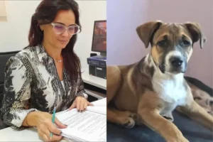 Rada Tilly: pese a estar atados al sol sin agua, la fiscal descartó maltrato en el caso de los cachorros y ordenó ser devueltos a su ex hogar