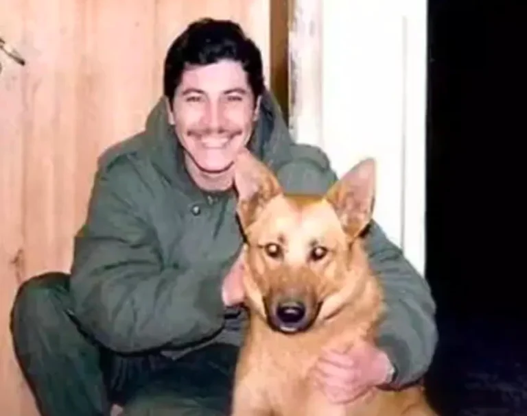 Mortero, el perro de Comodoro que sobrevivió a Malvinas y se convirtió en símbolo de lealtad