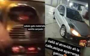 Las últimas horas de “Pela” Nieves: las historias que publicó antes de ser asesinado a balazos