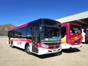 Transporte público en Comodoro: MR no presentó documentación clave y no se firmó el contrato