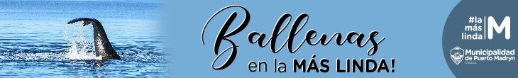 9 - REALCHUBUT ballenas 730 x110